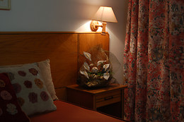 Hotel Pantanha