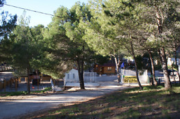 LE BOIS DE PINS