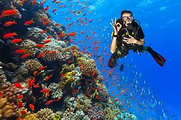 SOTACERO DIVING