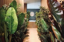 Spa Center