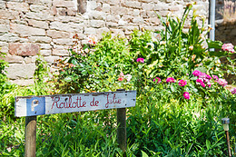 La Roulotte de Julie