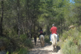 ALICANTE HÍPICA MAIGMO