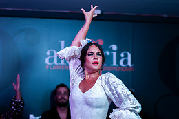 ALEGRÍA FLAMENCO Y GASTRONOMÍA