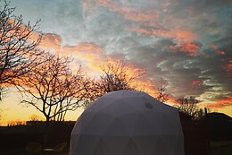 Tui's Nest Glamping