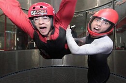 Flyzone