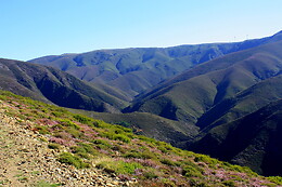 Just Come – Countryside & Adventure Tours