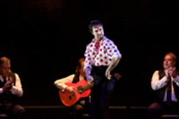 TEATRO FLAMENCO GRANADA