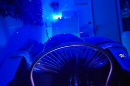 LAURA'S HAIR SPA