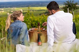 Domaine Passot Rémy & Fils