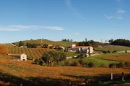 BODEGA PAZO BAIÓN