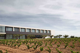 HOTEL BODEGA FINCA DE LOS ARANDINOS