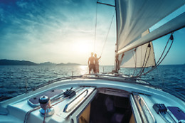 WINDISCOVERY