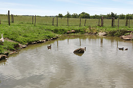 Ferme de La Borde