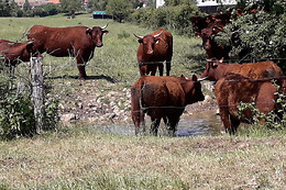 La Ferme du Vallon