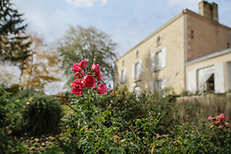 Chambres d'hôtes le Tilleul