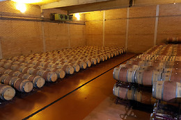 BODEGA PIRINEOS